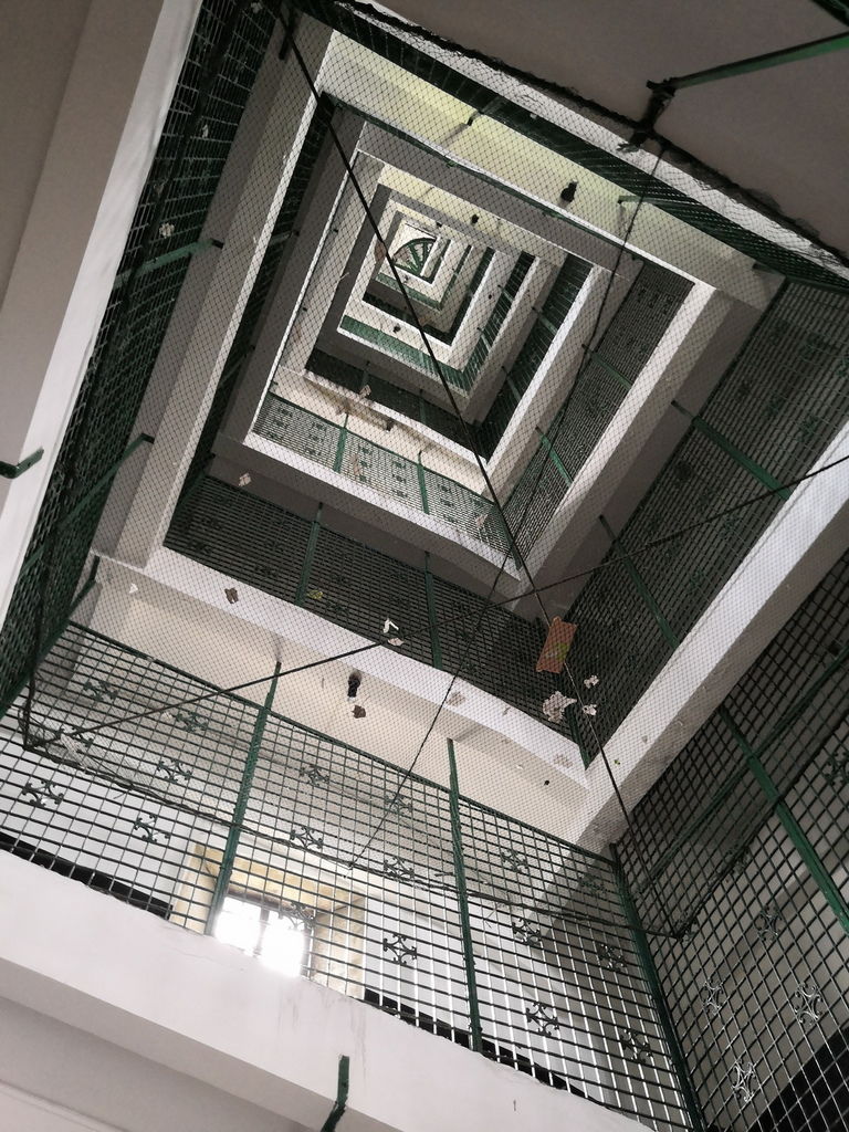 IMG_20190330_135336_调整大小.jpg IMG_20190330_135336_调整大小.jpg