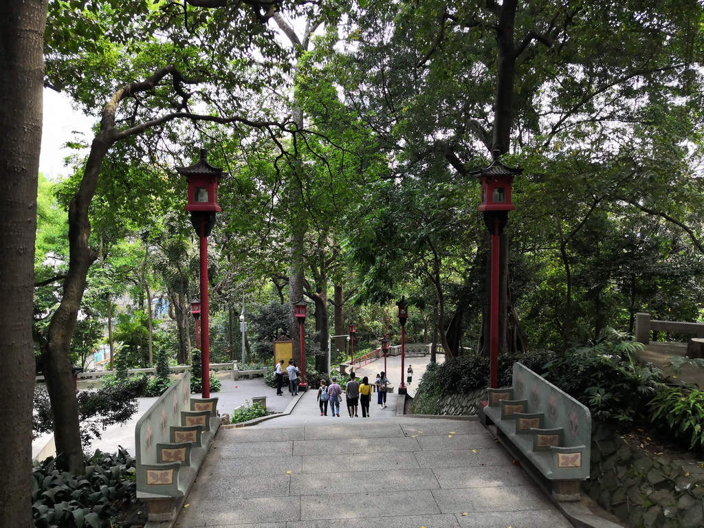 IMG_20190330_133738_调整大小.jpg IMG_20190330_133738_调整大小.jpg