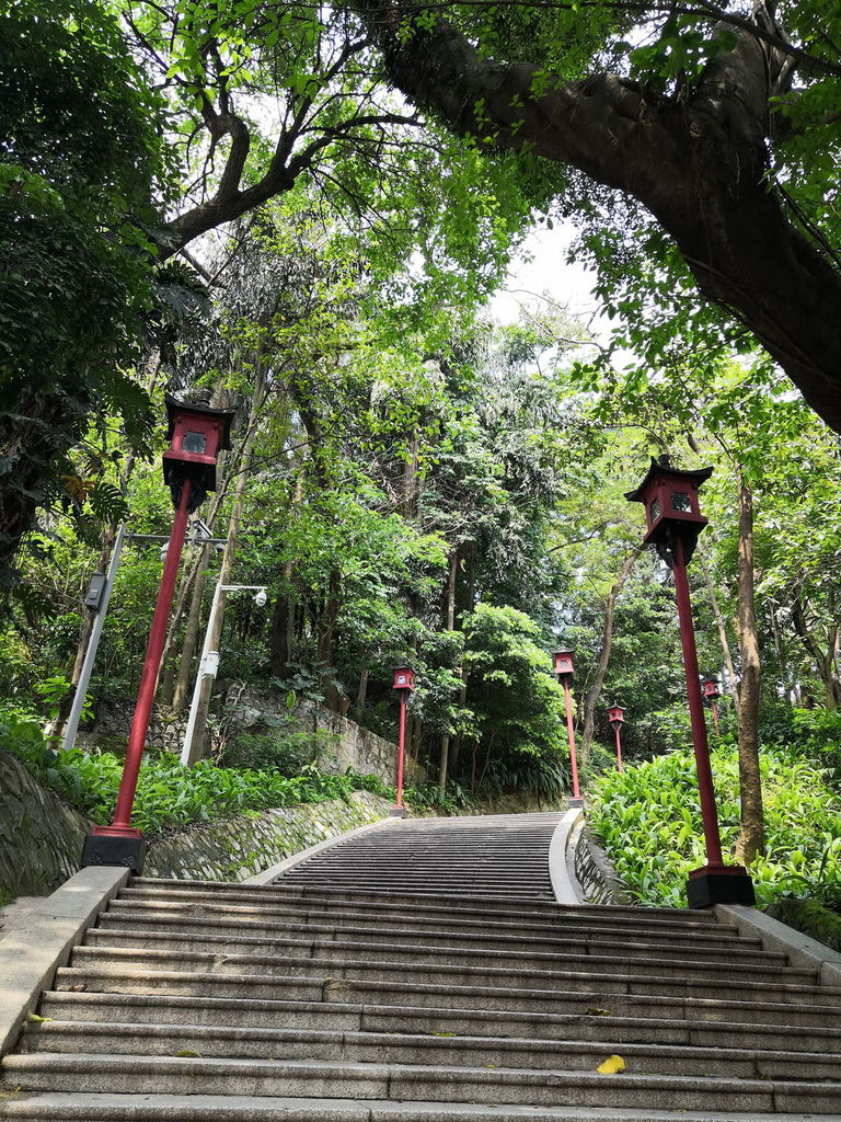 IMG_20190330_133221_调整大小.jpg IMG_20190330_133221_调整大小.jpg