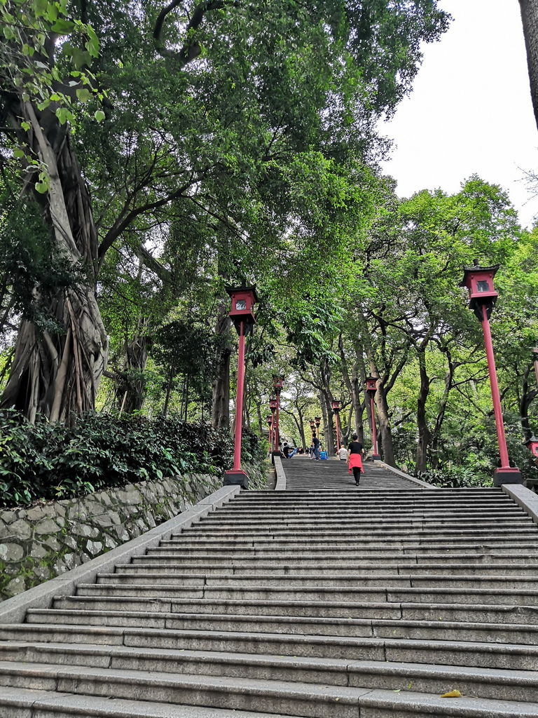IMG_20190330_133416_调整大小.jpg IMG_20190330_133416_调整大小.jpg