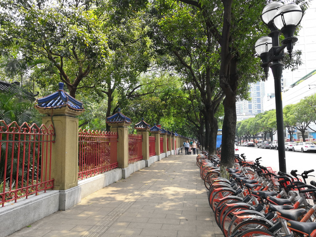 IMG_20190330_132130_调整大小.jpg IMG_20190330_132130_调整大小.jpg