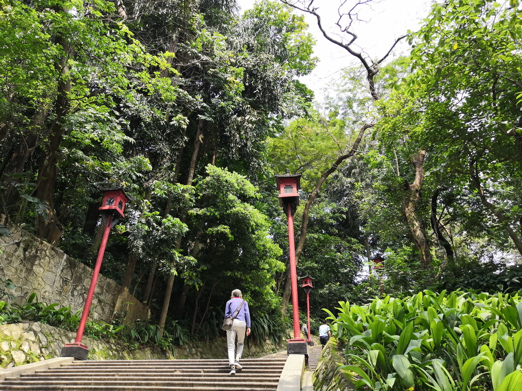 IMG_20190330_131824_调整大小.jpg IMG_20190330_131824_调整大小.jpg