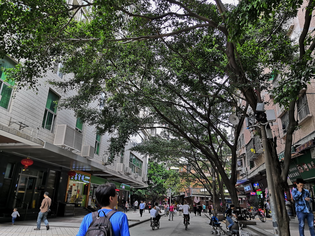 IMG_20190330_122821_调整大小.jpg IMG_20190330_122821_调整大小.jpg