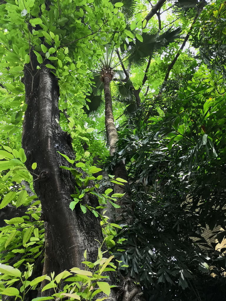 IMG_20190330_114709_调整大小.jpg IMG_20190330_114709_调整大小.jpg