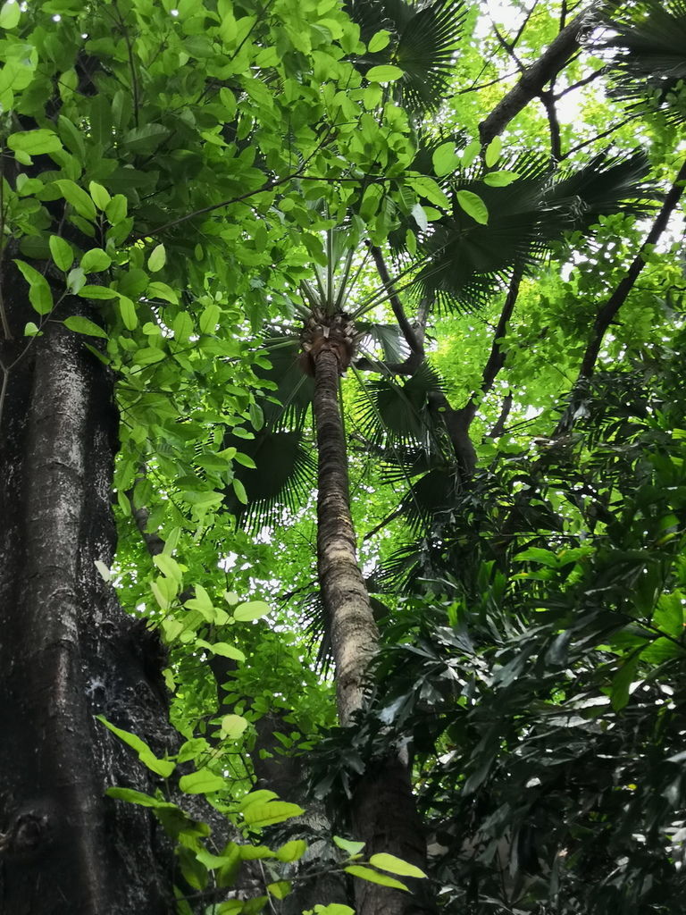 IMG_20190330_114714_调整大小.jpg IMG_20190330_114714_调整大小.jpg