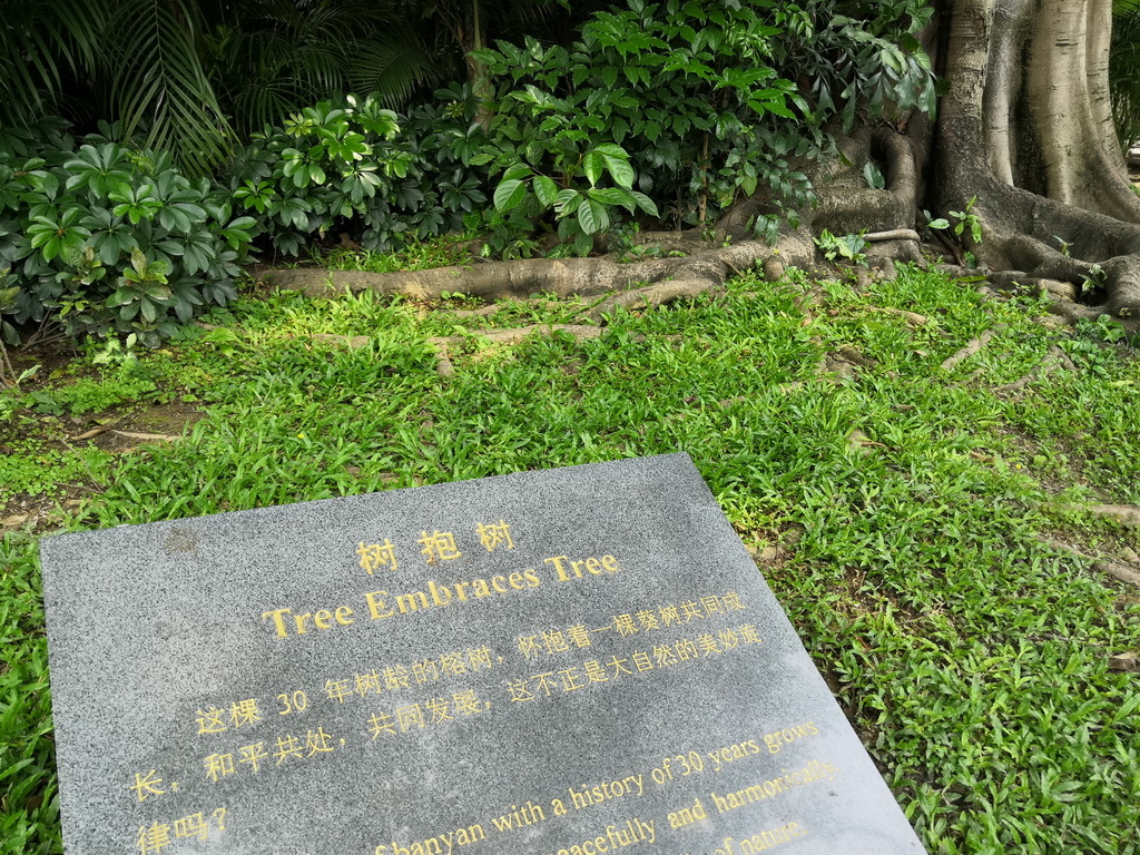 IMG_20190330_114606_调整大小.jpg IMG_20190330_114606_调整大小.jpg