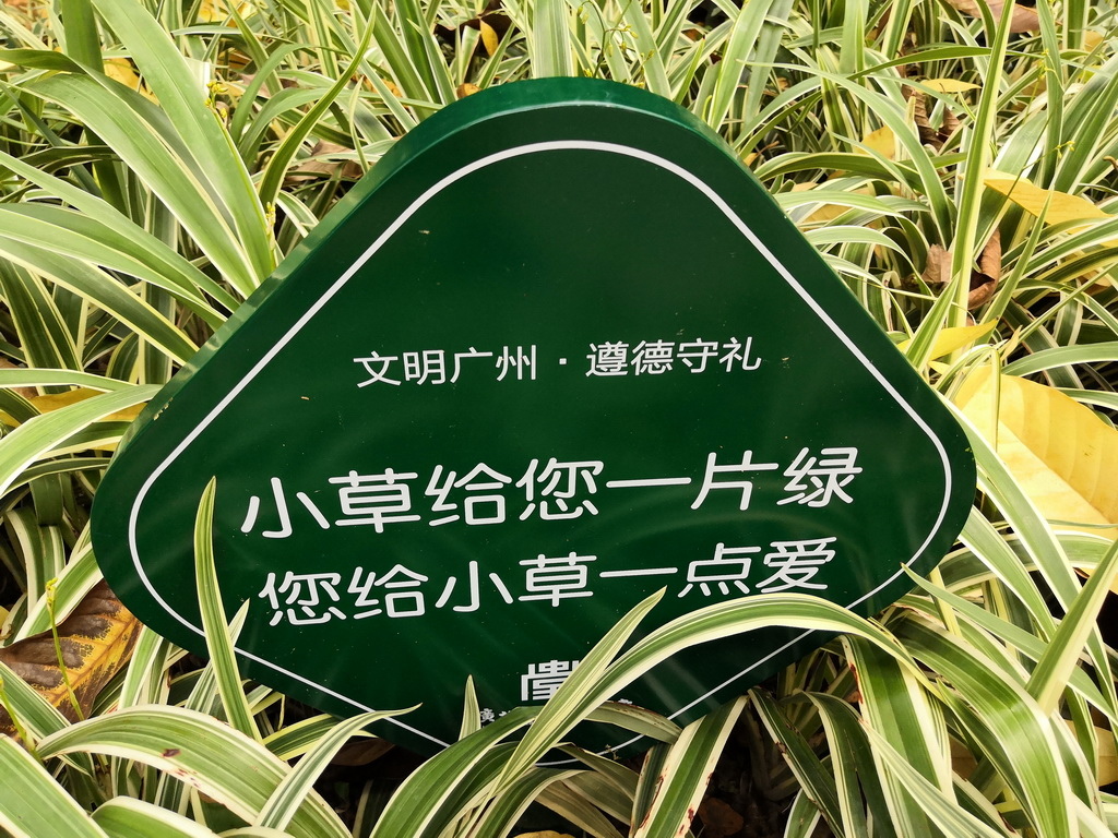 IMG_20190330_114137_调整大小.jpg IMG_20190330_114137_调整大小.jpg