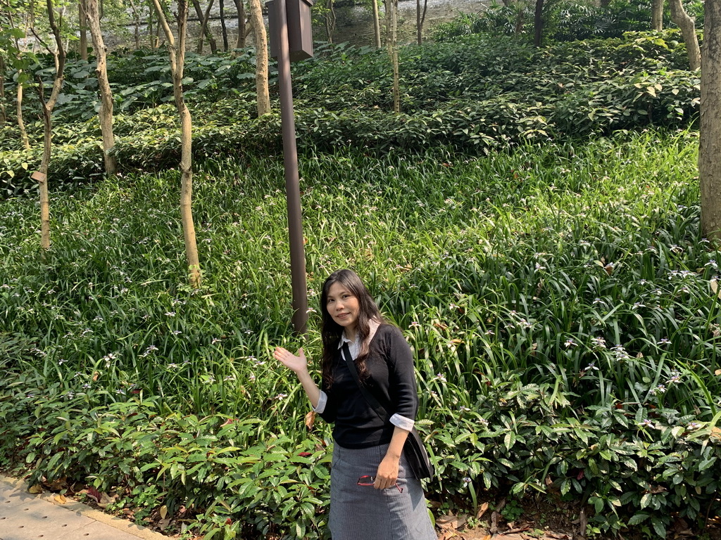 IMG_5278_调整大小.jpg IMG_5278_调整大小.jpg