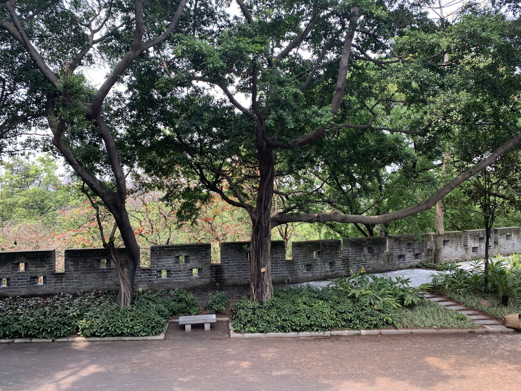 IMG_5245_调整大小.jpg IMG_5245_调整大小.jpg