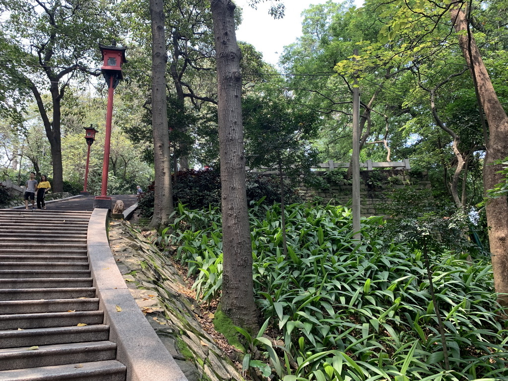 IMG_5228_调整大小.jpg IMG_5228_调整大小.jpg