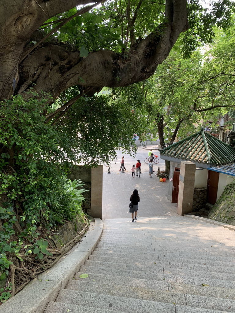 IMG_5222_调整大小.jpg IMG_5222_调整大小.jpg