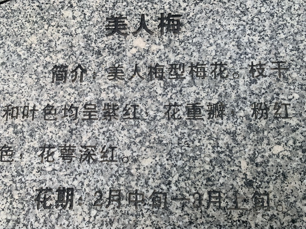 IMG_5847_调整大小.jpg IMG_5847_调整大小.jpg