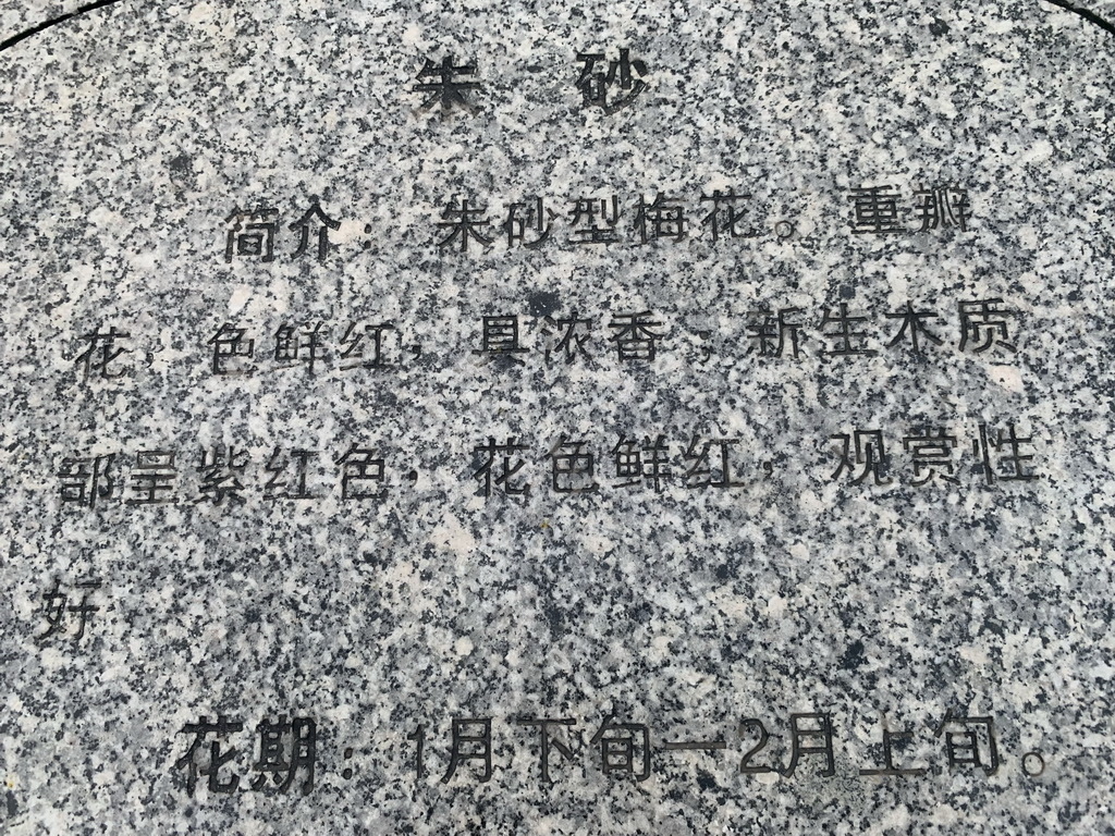 IMG_5848_调整大小.jpg IMG_5848_调整大小.jpg