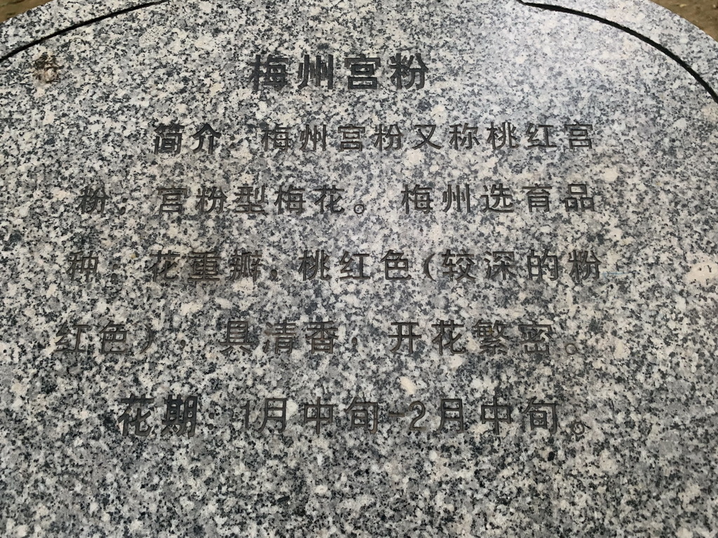 IMG_5846_调整大小.jpg IMG_5846_调整大小.jpg