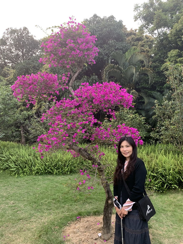 IMG_5841_调整大小.jpg IMG_5841_调整大小.jpg