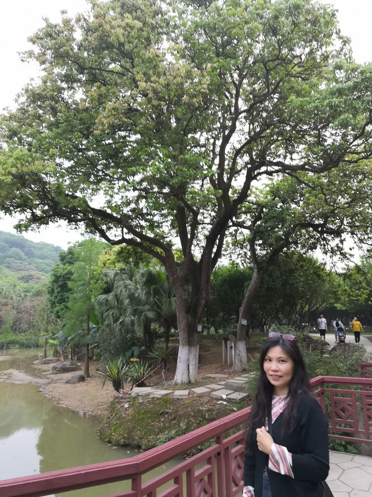 IMG_20190406_182820_调整大小.jpg IMG_20190406_182820_调整大小.jpg