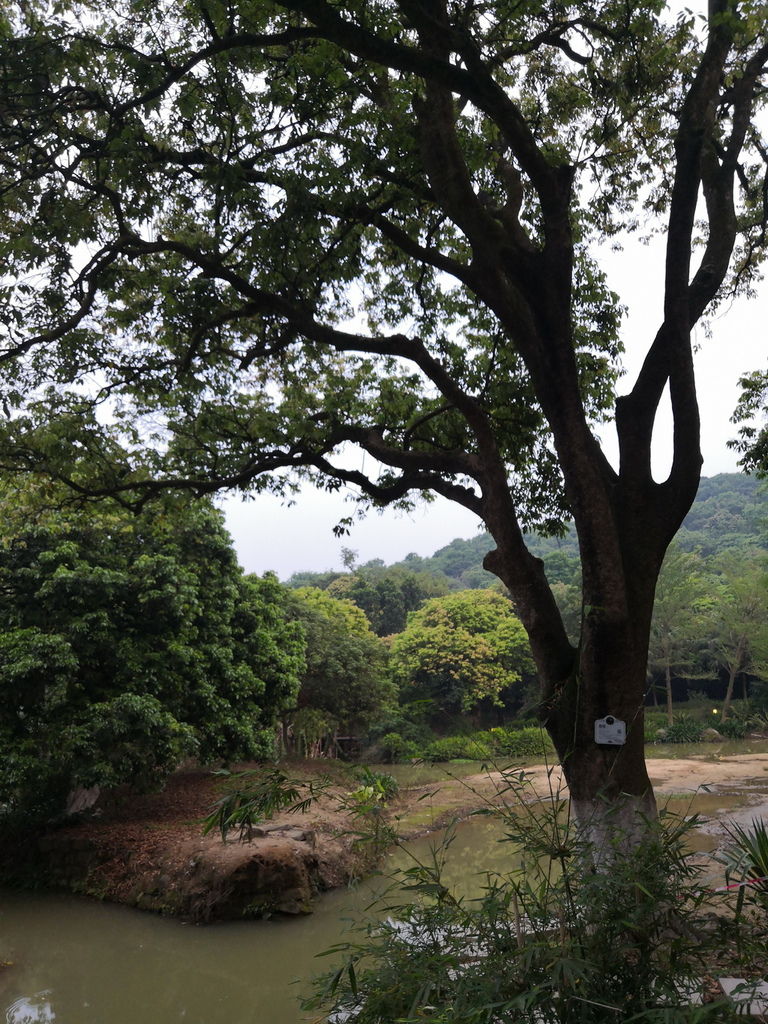 IMG_20190406_182759_调整大小.jpg IMG_20190406_182759_调整大小.jpg