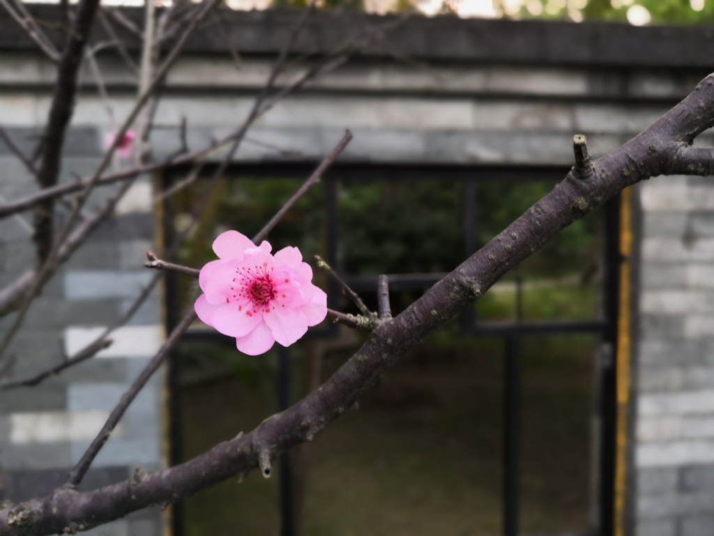 IMG_20190406_182438_调整大小.jpg IMG_20190406_182438_调整大小.jpg