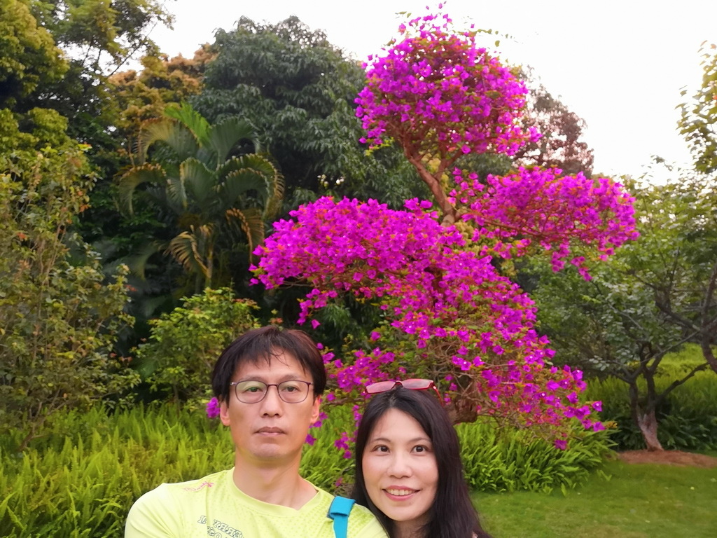 IMG_20190406_181951_调整大小.jpg IMG_20190406_181951_调整大小.jpg