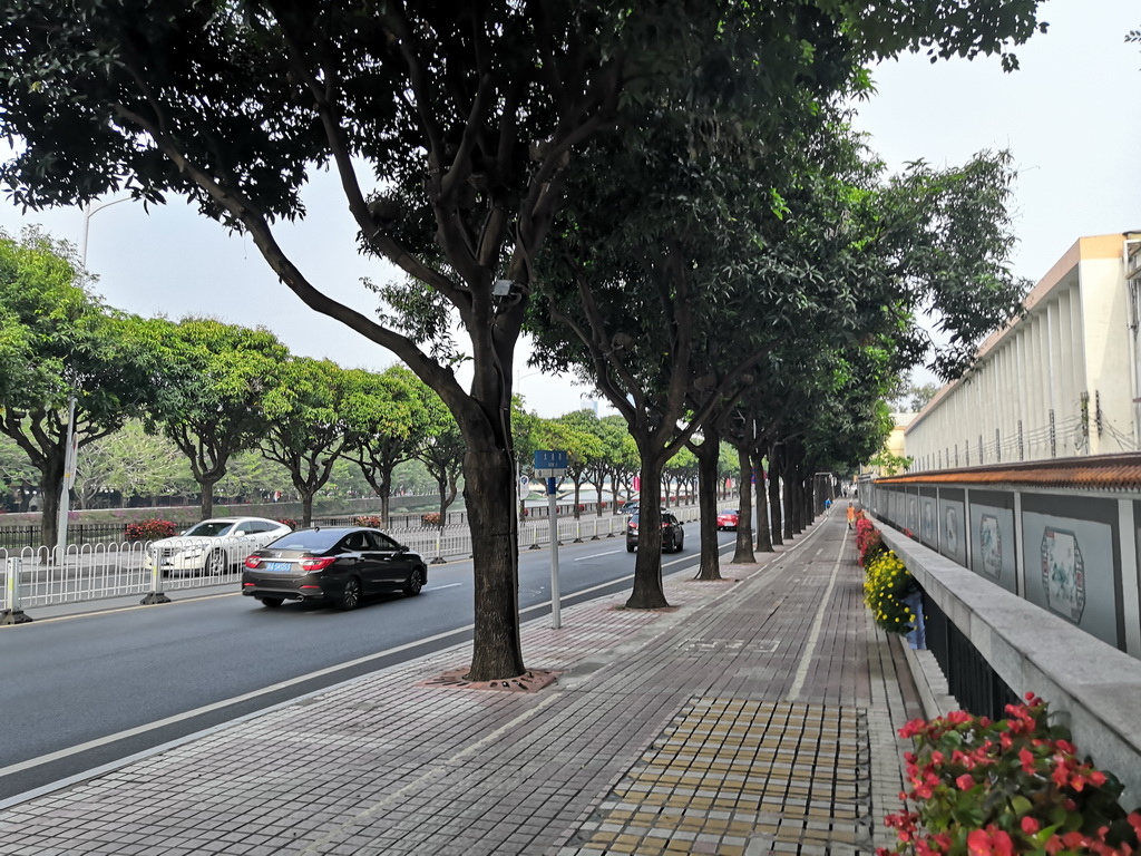 IMG_20190407_164633_调整大小.jpg IMG_20190407_164633_调整大小.jpg