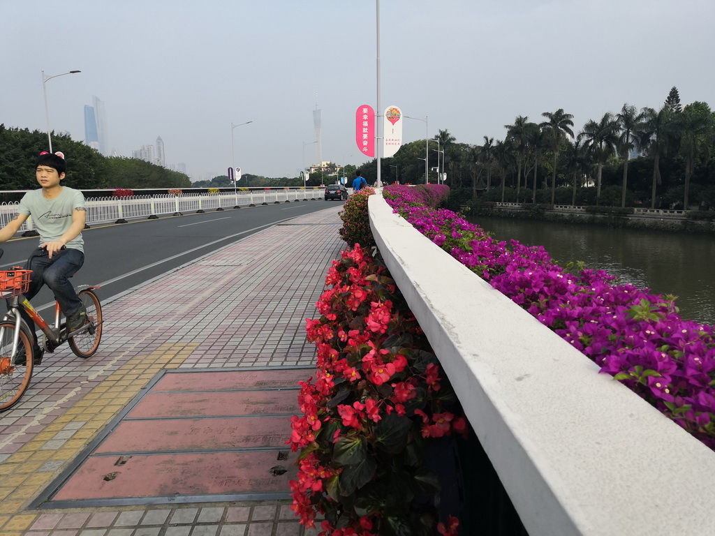 IMG_20190407_164341_调整大小.jpg IMG_20190407_164341_调整大小.jpg