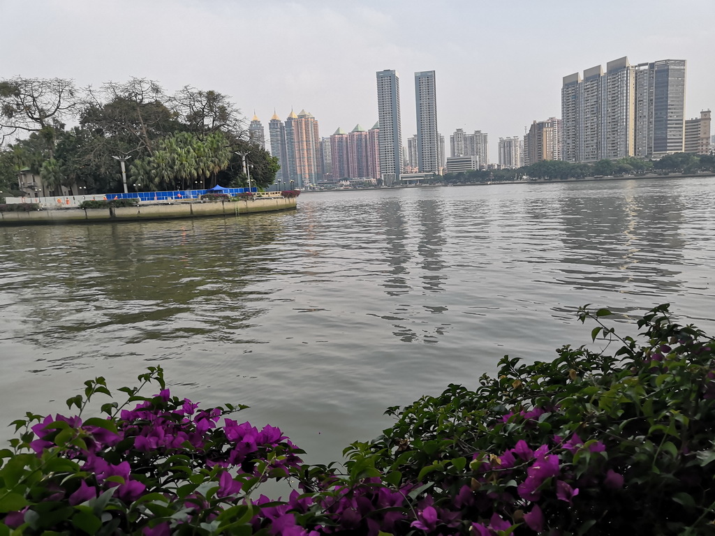 IMG_20190407_163600_调整大小.jpg IMG_20190407_163600_调整大小.jpg