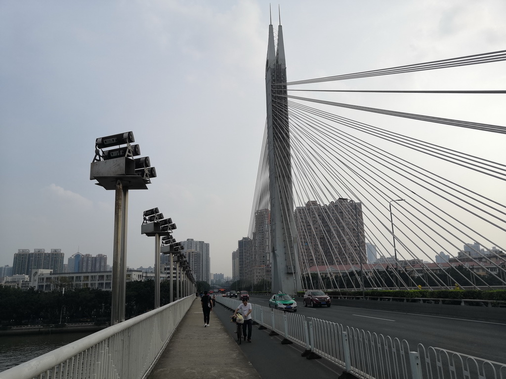 IMG_20190407_163102_调整大小.jpg IMG_20190407_163102_调整大小.jpg
