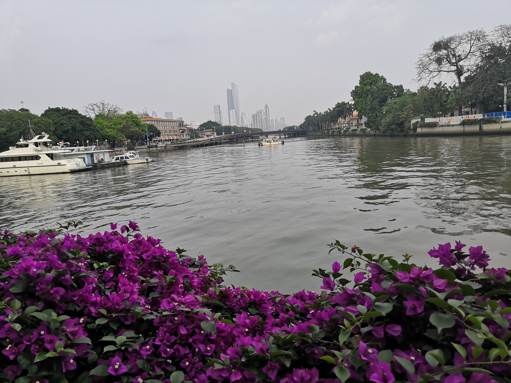 IMG_20190407_163526_调整大小.jpg IMG_20190407_163526_调整大小.jpg