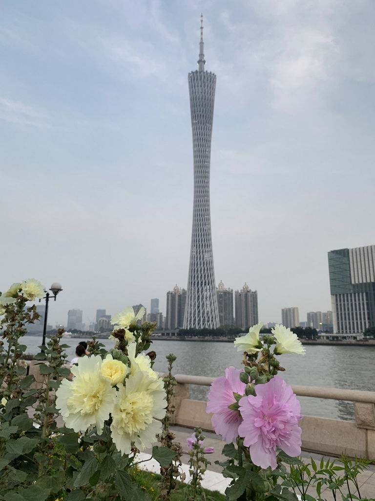 IMG_6043_调整大小.jpg IMG_6043_调整大小.jpg