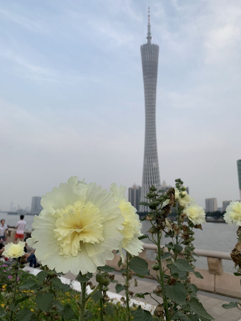 IMG_6042_调整大小.jpg IMG_6042_调整大小.jpg