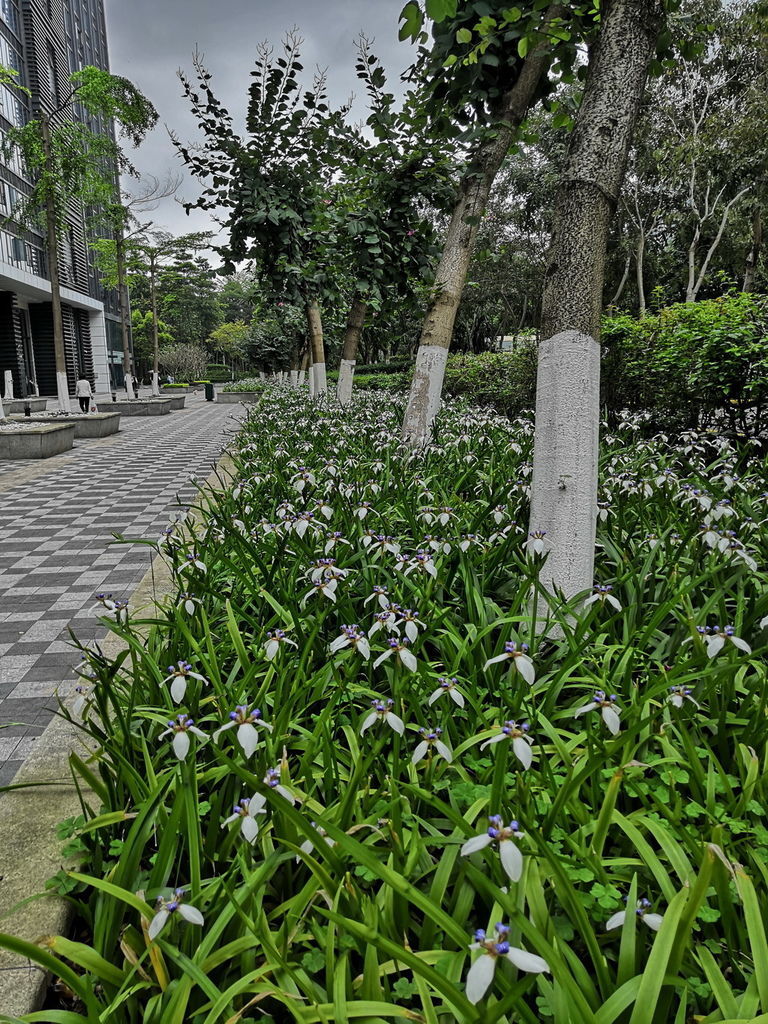 IMG_20190408_084438_调整大小.jpg