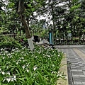 IMG_20190408_084547_调整大小.jpg