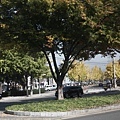 _MG_0051_调整大小.JPG
