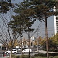 _MG_0049_调整大小.JPG