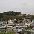 _MG_1299_调整大小.JPG