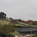 _MG_1298_调整大小.JPG