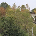 _MG_1296_调整大小.JPG