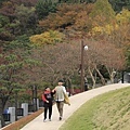 _MG_1284_调整大小.JPG