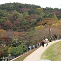 _MG_1283_调整大小.JPG
