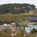 _MG_1279_调整大小.JPG