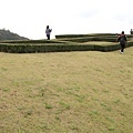 _MG_1275_调整大小.JPG