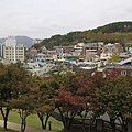 _MG_1276_调整大小.JPG