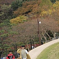 _MG_1285_调整大小.JPG
