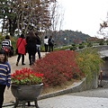 _MG_1268_调整大小.JPG