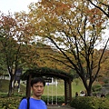_MG_1264_调整大小.JPG