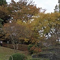 _MG_1266_调整大小.JPG