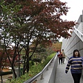 _MG_1265_调整大小.JPG