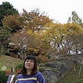 _MG_1267_调整大小.JPG