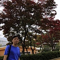 _MG_1260_调整大小.JPG