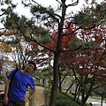 _MG_1261_调整大小.JPG